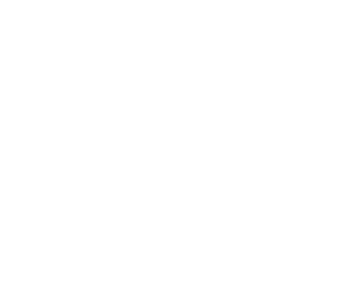 ServiceFusion